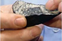 Ученые определили состав метеорита, упавшего на Кубе