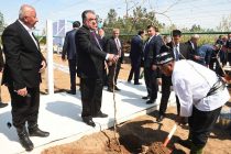 Лидер нации в Бободжон Гафуровском районе посетил Национальный парк «Вахдат», возвёл новый виноградник и суперинтенсивный сад