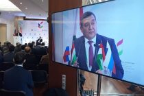 Таджикистан придает приоритетное значение укреплению взаимовыгодных торгово-экономических отношений с Россией