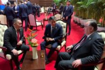 Лидер нации Эмомали Рахмон встретился с Президентом Монголии Халтмаагийном Баттулгой