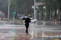 О ПОГОДЕ: сегодня в Душанбе переменная облачность, кратковременный дождь, гроза, днём до 22-х градусов тепла