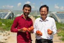 СВЕЖИЕ ОВОЩИ – КРУГЛЫЙ ГОД! Информагентство «Синьхуа» о первом проекте сотрудничества Китая и Таджикистана в области тепличного хозяйства