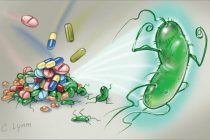 Эксперты: устойчивость микробов к лекарствам грозит человечеству миллионами жертв