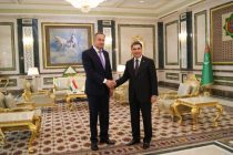 Встреча первого заместителя Премьер-министра Республики Таджикистан с Президентом Туркменистана