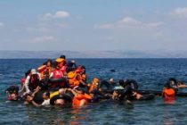 ВМС Марокко спасли 249 нелегальных мигрантов в Средиземном море