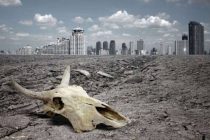 ЮНЕСКО: Земле грозит вымирание миллиона видов растений и животных