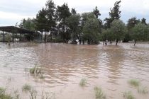 Комитет по чрезвычайным ситуациям и гражданской обороне: ещё несколько районов Таджикистана затоплено