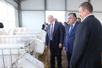 Президент Республики Таджикистан Эмомали Рахмон посетил Агрокомбинат «Дзержинский» Республики Беларусь