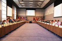 Таджикистан представил в ОБСЕ результаты работы в области гуманитарного разминирования и уничтожения излишков ЛСО и ОБ