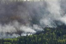 Власти Канады обеспокоены началом сезона разрушительных лесных пожаров