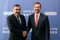 Замминистра иностранных дел Таджикистана в Вене провел встречу с Генеральным секретарем ОБСЕ