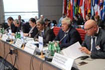 В Вене под председательством Таджикистана обсуждены вопросы укрепления сотрудничества между ОБСЕ и ОДКБ в Центрально-Азиатском регионе
