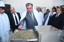 Глава государства Эмомали Рахмон открыл предприятие по переработке лекарственных растений «Сари Хосор» в Бальджувонском районе