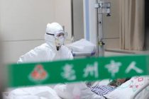В Китае зафиксировали случай заражения птичьим гриппом H5N6