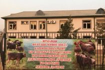 В Душанбе в канун праздника иди Курбон установили специальные места для убоя скота