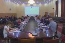 Таджикистан и Австрия планируют расширить взаимовыгодное сотрудничество