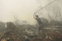 Чрезвычайное положение объявлено в Индонезии из-за задымления от лесных пожаров