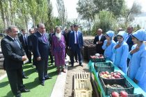 Президент страны Эмомали Рахмон посетил сад в дехканском хозяйстве «Аминджон» и ознакомился с деятельностью ООО «Махсуми Карим» в Муминабадском районе