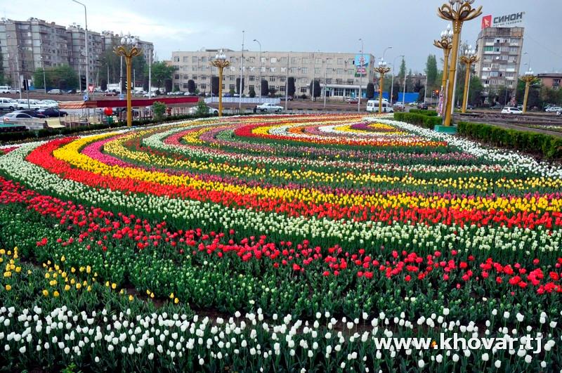 Цветы в таджикистане фото