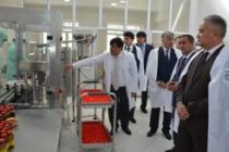 В Душанбе начало функционировать предприятие по  переработке лекарственных растений