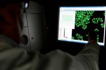 Нанотрубки доставили к раковым клеткам лекарства с подсветкой