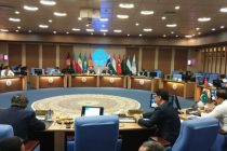 Под председательством Таджикистана состоялось очередное заседание Организации экономического сотрудничества