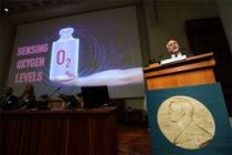 Вчера объявили лауреатов  Нобелевской премии по медицине и физиологии