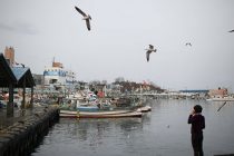 Южнокорейская рыболовецкая шхуна затонула в районе острова Чеджу