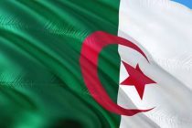В Алжире началась кампания по выборам президента