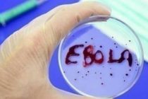 В США одобрили первую вакцину против Эболы
