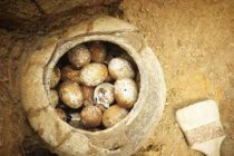 В гробнице на юго-западе Китая обнаружены 500-летние неразбитые яйца