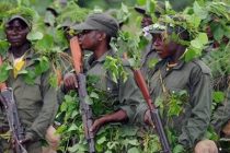 Вооруженные силы Конго захватили в плен 400 боевиков на востоке страны