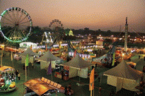 В Индии состоится  крупнейший фестиваль  ремесленничества «Surajkund Mela»