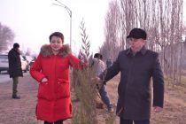 Растениеводы Таджикистана из Беларуси налаживают сотрудничество