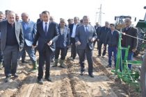 Заместитель Премьер-министра Таджикистана Давлатшох Гулмахмадзода принял участие в начале сева семян хлопчатника в районе Дусти