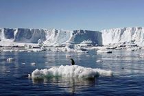 ГЛОБАЛЬНОЕ ПОТОПЛЕНИЕ: температура в Антарктике впервые поднялась выше 20 градусов