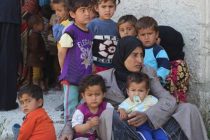 В ООН призывают Совет Безопасности остановить «кошмар» на северо-западе Сирии