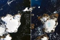 В Антарктиде очень быстро тает снег из-за высокой температуры
