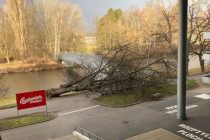 В Чехии ураган оставил без электричества 100 тыс. пользователей