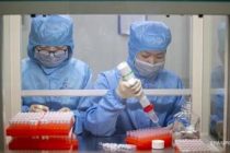 В Китае назвали сроки инкубационного периода коронавируса