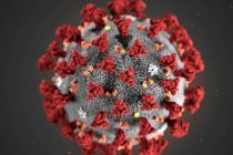 ВОЗ о коронавирусе: необходимо остановить «эпидемию дезинформации»