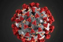 В ВОЗ обеспокоены случаями коронавируса у людей, которые не имели очевидной связи с Китаем
