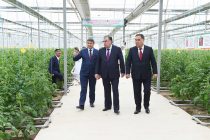 Президент страны Эмомали Рахмон посетил сельскохозяйственную выставку и современную теплицу в дехканском хозяйстве «Дустобод-2» района Спитамен