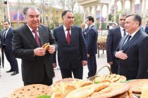Участие Лидера нации на Празднике мёда, лепёшки и картошки