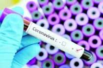 Страны СНГ намерены объединить усилия в борьбе с коронавирусом