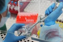 ТАСС: Роспотребнадзор передал Таджикистану тест-системы для диагностики коронавируса
