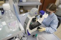 Российским ученым удалось расшифровать полный геном коронавируса