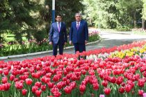 Лидер нации Эмомали Рахмон посетил парки культуры и отдыха города Душанбе