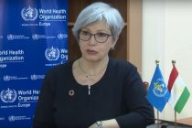 Представитель ВОЗ официально заявила об отсутствии заражения коронавирусом в Таджикистане