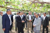 Премьер-министр страны Кохир Расулзода посетил Турсунзаде
